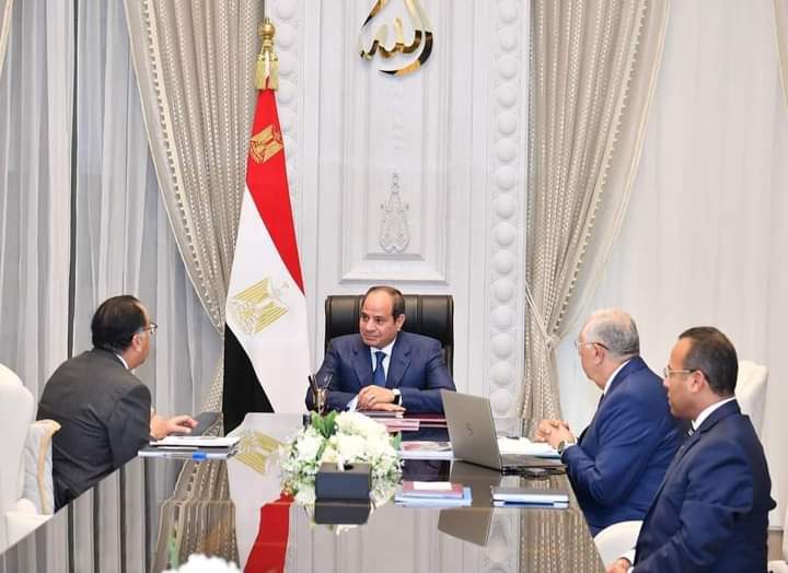 رئاسة الجمهورية: إضافة 3 ملايين فدان لمساحة الرقعة الزراعية