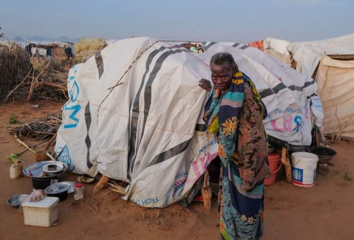 دبلوماسية أميركية تزور تشاد لتسليط الضوء على انتهاكات في السودان
