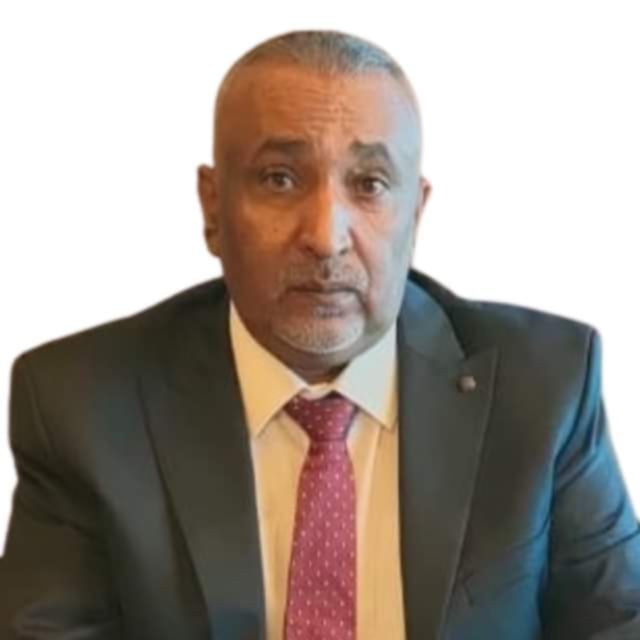 السياسة والعلاقات الخارجية 