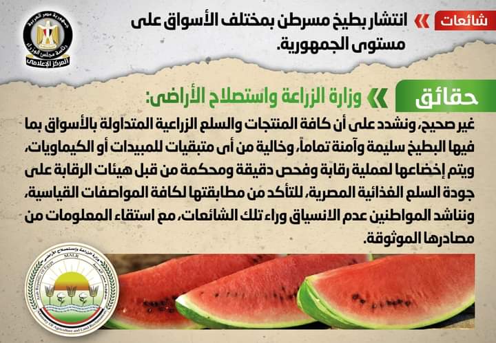 الحكومة تنفي انتشار بطيخ مسرطن بمختلف الأسواق على مستوى الجمهورية